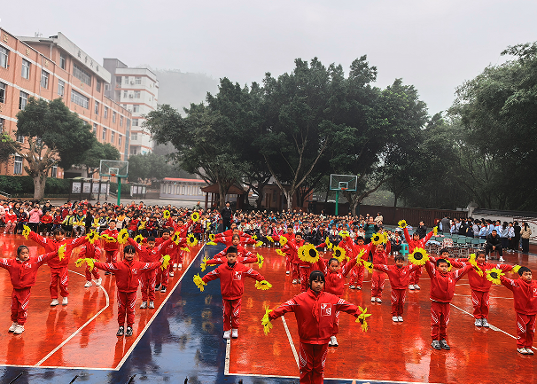 1764836131759406.png QQ_1764835979365.png