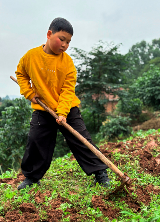 1764836504546121.png QQ_1764836491902.png