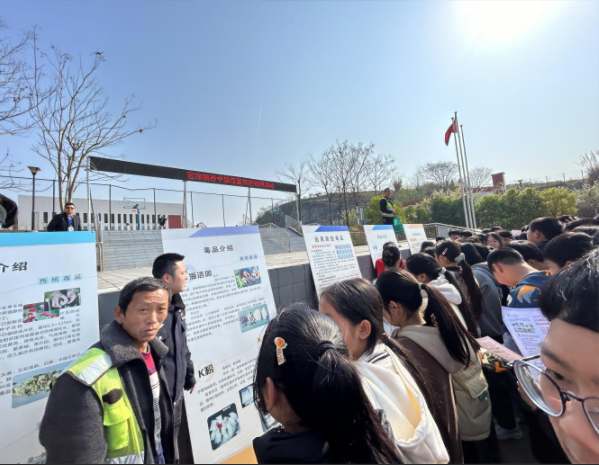 1765111705582642.png 1.png