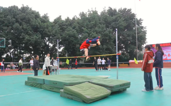 1765152213397191.png QQ_1765152199967.png