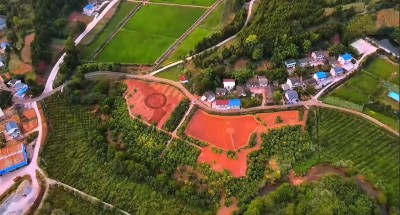 1765330234149875.jpg 02.jpg