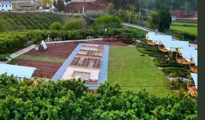 1765330251930001.jpg 04.jpg