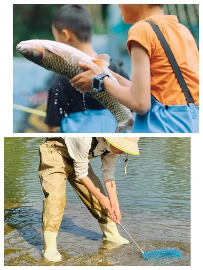 1765330274697416.jpg 05.jpg