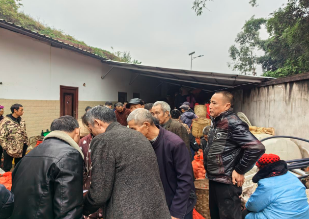 1765361052965028.png QQ_1765361044669.png