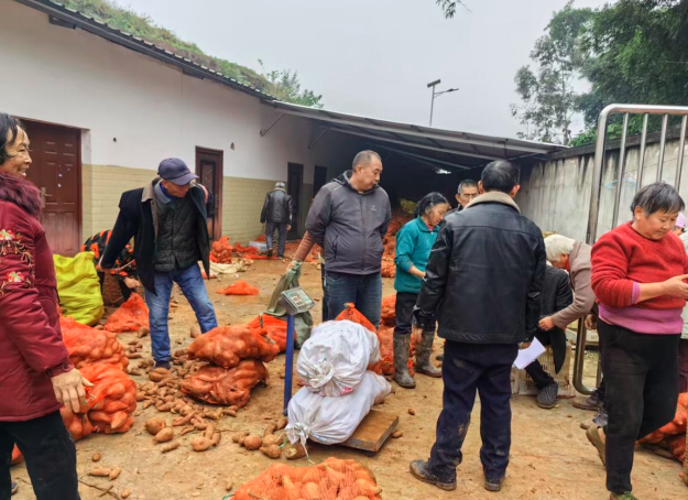 1765361072717242.png QQ_1765361064056.png