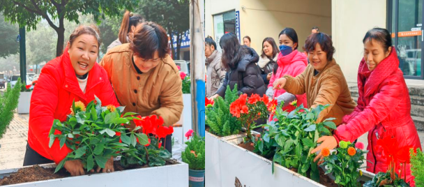 1765504926447229.png a50bc36a-7a59-4512-8126-ae726ad9d7ef.png