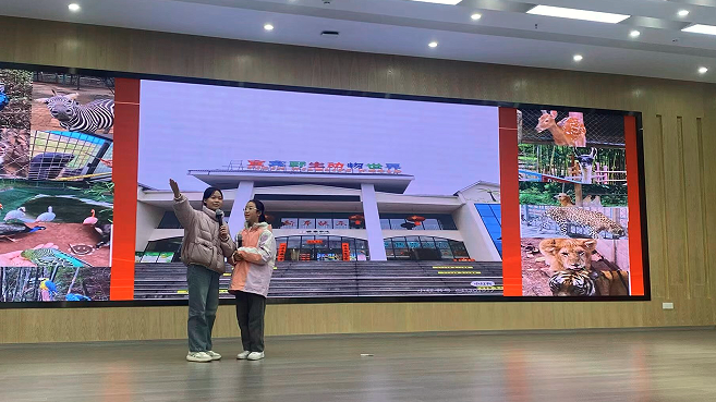 1765768694951488.png QQ_1765768534551.png