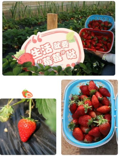 1765789452225967.jpg 06.jpg