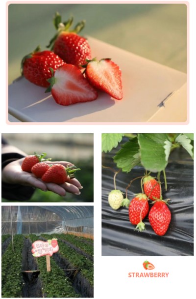 1765789460320039.jpg 07.jpg