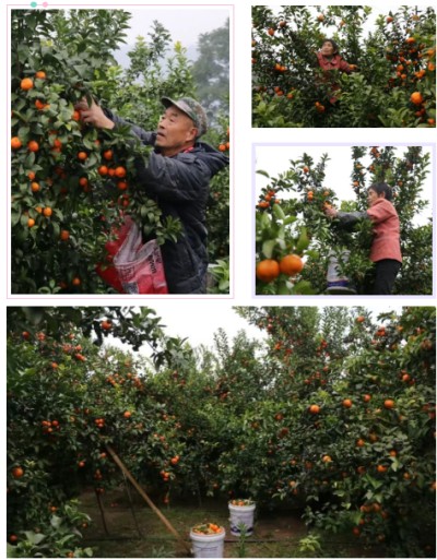 1765789480554146.jpg 09.jpg