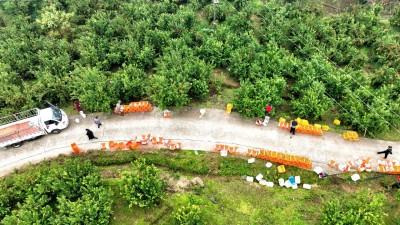 1765789507389004.jpg 12.jpg