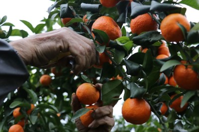 1765789515776538.jpg 13.jpg