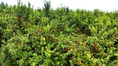 1765789524627863.jpg 14.jpg