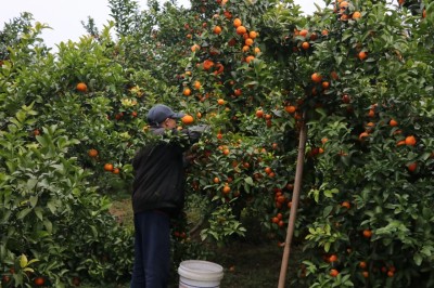 1765789529594313.jpg 15.jpg