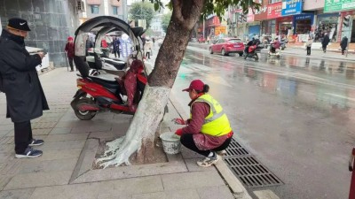 �����:��ץϸ��ǿ���� ����ˢ�׻���ֲ