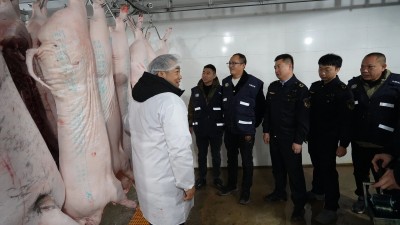 ��ҹͻϮ�������������׳�ӭ��ִ����顰