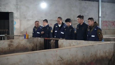 1767603404578867.jpg 03.jpg