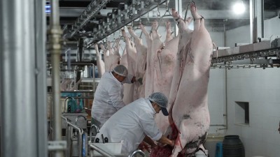 1767603414475150.jpg 04.jpg