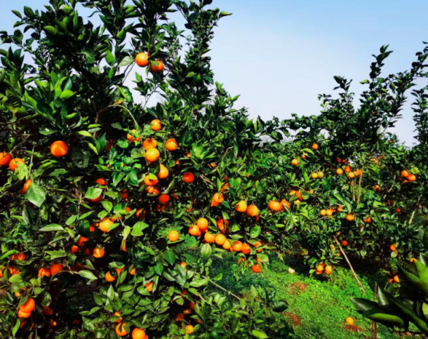 �˱�����Ϫ��������ʯ���壺���޿�������