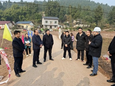 �й����㵳�����������ٿ�2025��߱�׼ũ����Ŀ�����ֳ��ƽ�����2026��󴺱�������