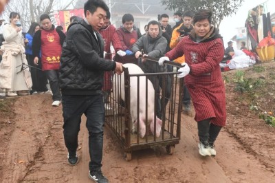 ɱ�����������磬�Ϸ��������������ξ���