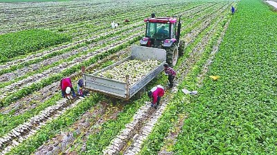 �����ܲ���ͷ���ͼ��