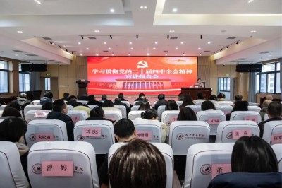 �۽�ȫ�ᾫ������ �����Ž�ܽ���������