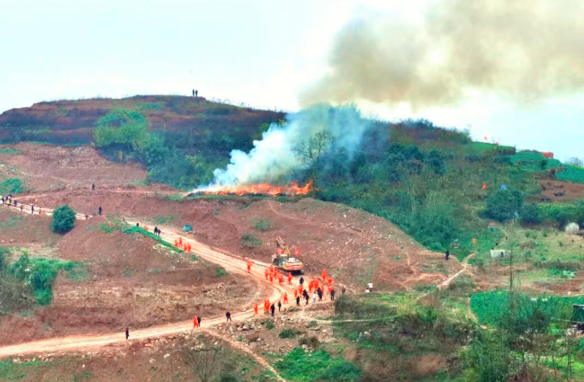 1769683639740158.png QQ_1769683617499.png