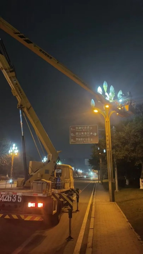 1770082290183070.jpg 07.jpg