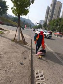 1770088387969587.jpg 08.jpg