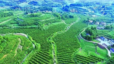 �й����㵳��������+���� ����ѭ����ũ����