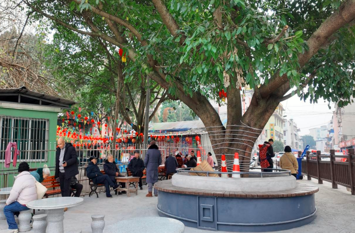 1770977198925514.png QQ_1770976963643.png