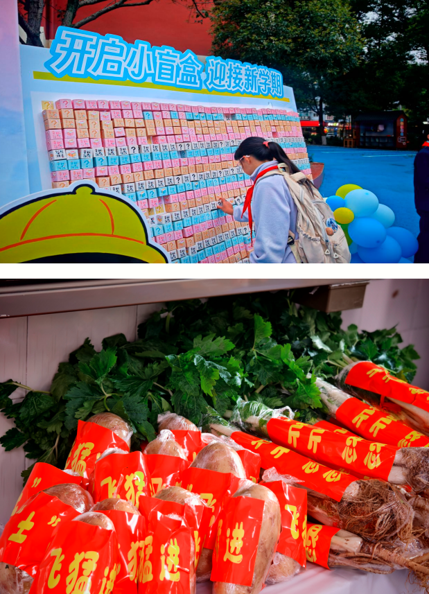 1772361058230505.png QQ_1772361037976.png