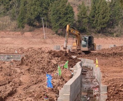 �ں�����æ��ʵ�ɿ��¾�