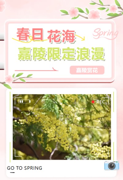 ���ڼ��� | ��Ĩ���ս�ƣ��Ǽ��괺����