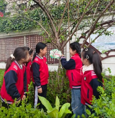 1773541708987785.jpg 02.jpg