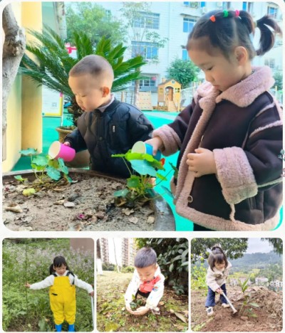 1773541735866690.jpg 04.jpg