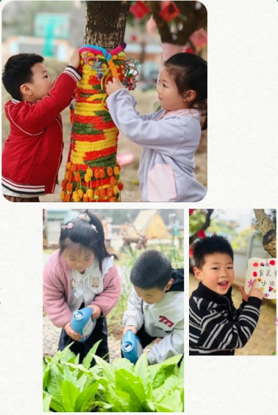 1773541744408815.jpg 05.jpg