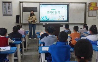 1773541753460738.jpg 06.jpg