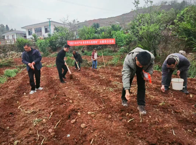 1773655960341705.png QQ_1773655918837.png