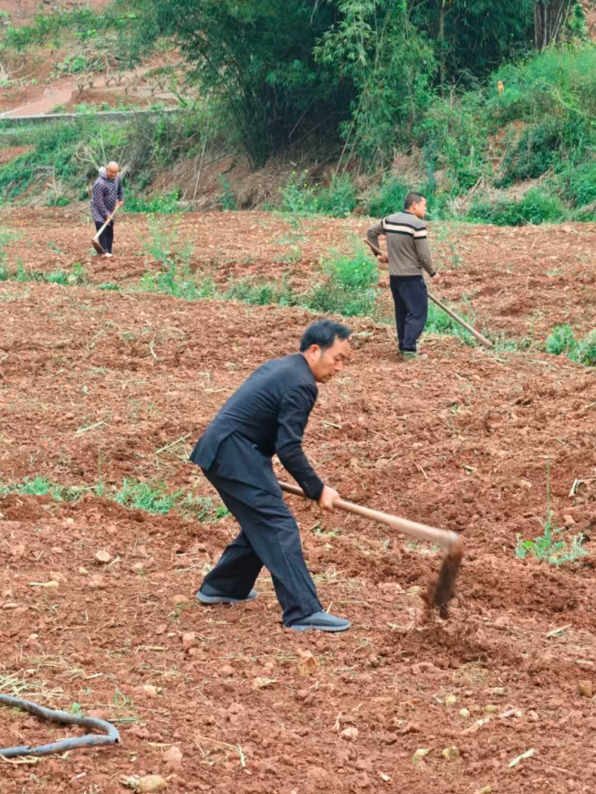 1773655970250921.png QQ_1773655911599.png