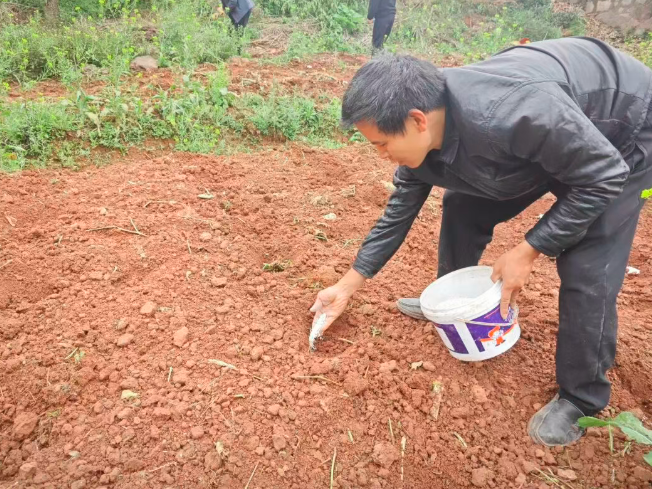 1773655982849871.png QQ_1773655901077.png