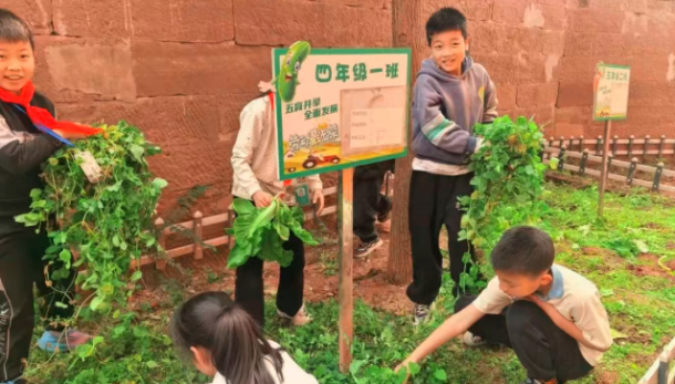 �������ְ��Ͷ�  ʵ�����˴ٳɳ������˱�