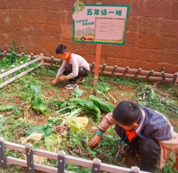 1773983916233086.png QQ_1773983830230.png