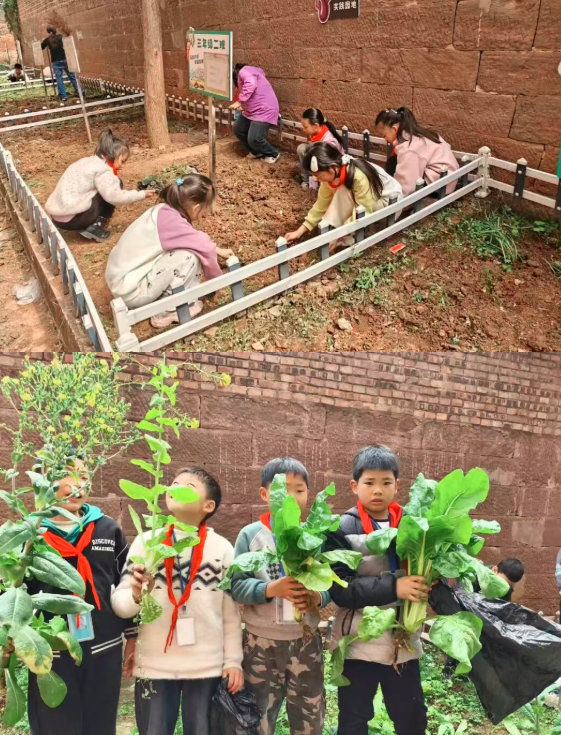 1773983921841330.png QQ_1773983822704.png