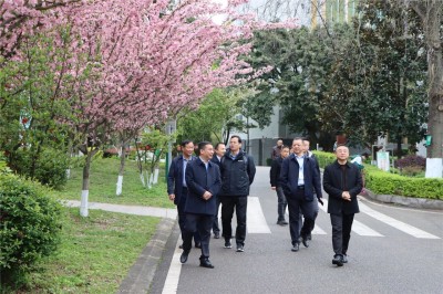 1774253754755543.jpg 03.jpg