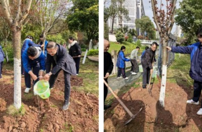 1774254606710557.jpg 02.jpg