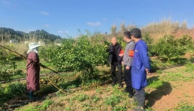 �й����㵳�����ѵ���嵽�￲�� | ��Ա�ɲ���䡰�ͼ����������