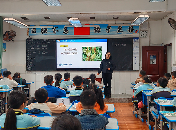 1774409984667344.png QQ_1774409823806.png