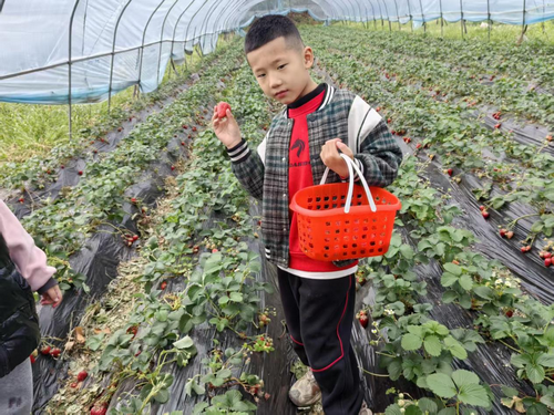 1774448175728487.png 5-1.png